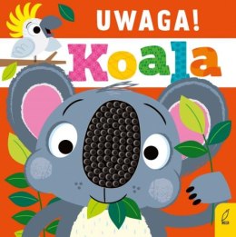 Książka Uwaga. Koala! FOKSAL