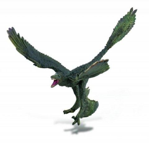Dinozaur Microraptor 88875 COLLECTA