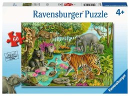 Puzzle 60el Animals of India. Zwierzęta z Indii 051632 Ravensburger