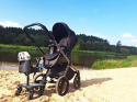 COZY 4S RIDER Dostawka z siedziskiem mocowana do wózka, max 25 kg + poduszka / wkładka Niedźwiadki w lesie