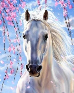 Malowanie po numerach 40x50cm Biały koń pod rózowymi gałązkami 1007632