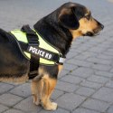 Szelki dla psa mocne XL 70-90cm Police K9 czarne