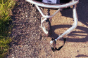 GUTO Deluxe 2w1 przyczepka rowerowa, doczepka, wózek dwuosobowy - zielony