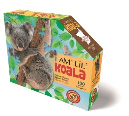 MADD CAPP, Puzzle konturowe I AM LIL' - Koala 100 elem.