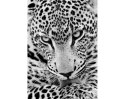 Diamentowa Mozaika 27x19cm Jaguar