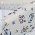 Hauck łóżeczko turystyczne Sleep N Play Go Plus Pooh Explorin