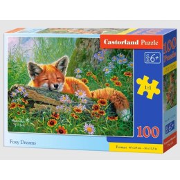 Puzzle 100 foxy dreams