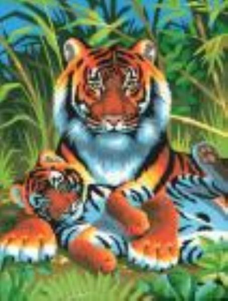 Malowanie po numerach Tygrysy 22x30cm 0029