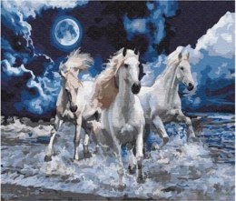 Malowanie po numerach 40x50cm 3 białe konie w galopie, morze nocą 1007663