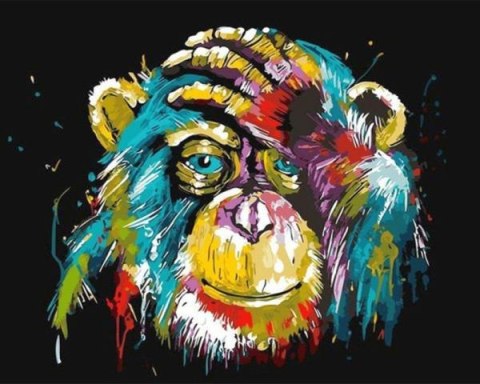 Malowanie po numerach 40x50cm Małpa "Ola Boga" kolor 1007549