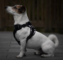 Petlove Szelki pełne LED świecące dla psa, regulowane S - Black