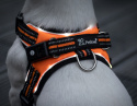 Petlove Szelki pjedyńcze LED świecące dla psa, regulowane M - Orange