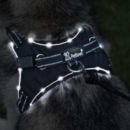 Petlove Szelki pjedyńcze LED świecące dla psa, regulowane S - Black