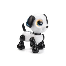 Robo heads up puppy