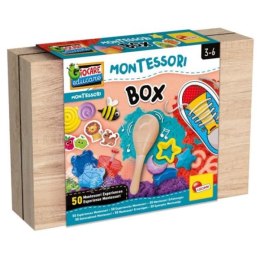 Montessori Box Pudełko 50 aktywności 102594 LISCIANI