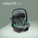 Colibro PETIT Fotelik samochodowy R129 0-13 kg - Pine