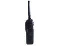 Walkie talkie