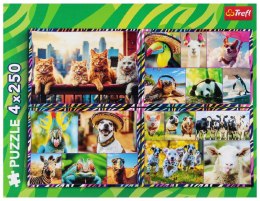 TREFL 13313 Puzzle 4x250 Zabawne zwierzaki