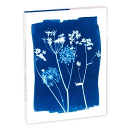 Kartki i Koperty 8 zest. Cyanotype