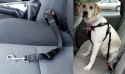Pas bezpieczeństwa do samochodu dla zwierząt smycz dla psa
