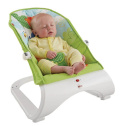 Fisher Price Komfortowy Leżaczek 0-9kg Cjj79