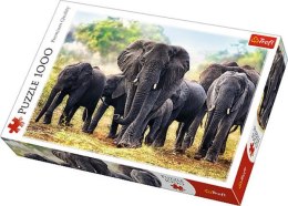Puzzle 1000el Afrykańskie słonie 10442 Trefl p6