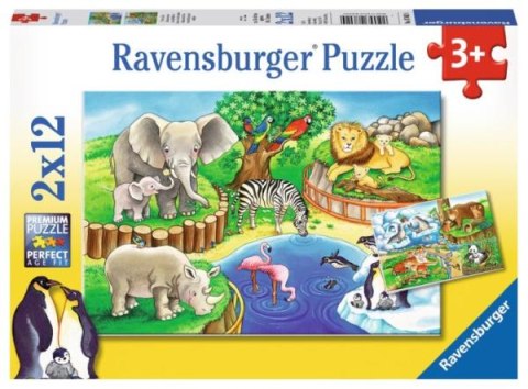 Puzzle 2x12el Zwierzęta w ZOO 076024 RAVENSBURGER p12