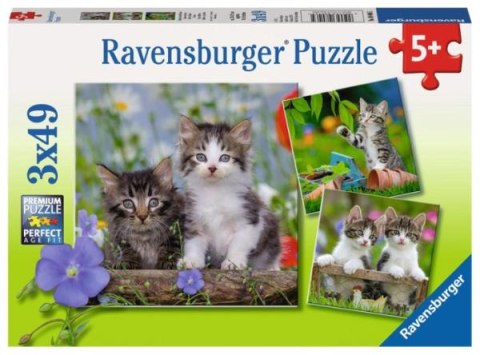 Puzzle 3x49el Kocięta 080465 RAVENSBURGER p8